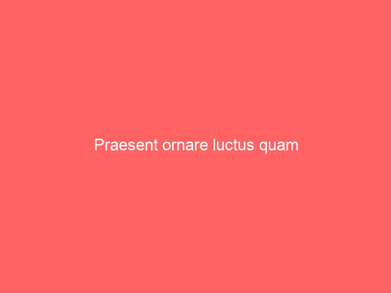 Praesent ornare luctus quam